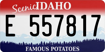 ID license plate E557817