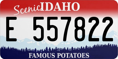ID license plate E557822