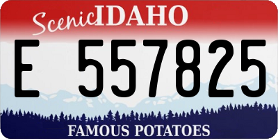 ID license plate E557825