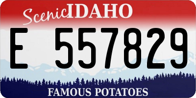 ID license plate E557829