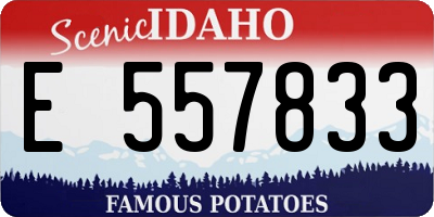 ID license plate E557833