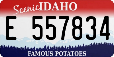 ID license plate E557834