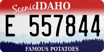 ID license plate E557844
