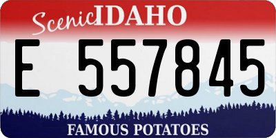 ID license plate E557845