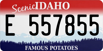 ID license plate E557855