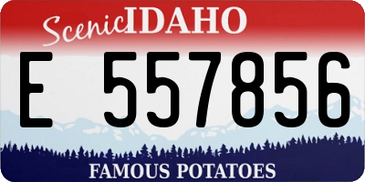 ID license plate E557856