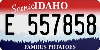 ID license plate E557858