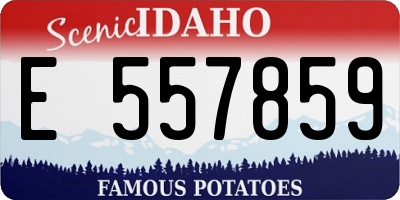 ID license plate E557859