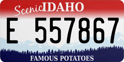 ID license plate E557867