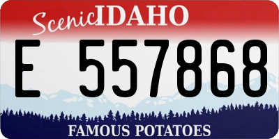 ID license plate E557868