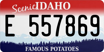 ID license plate E557869