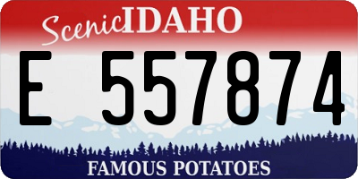 ID license plate E557874