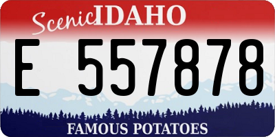 ID license plate E557878