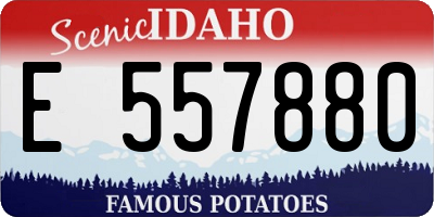 ID license plate E557880