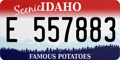 ID license plate E557883
