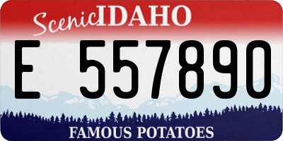 ID license plate E557890