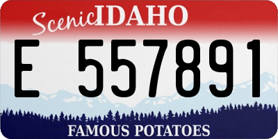 ID license plate E557891