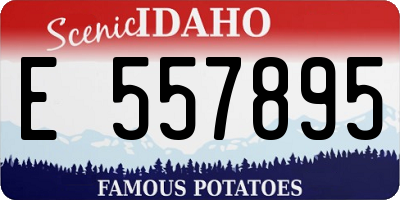ID license plate E557895