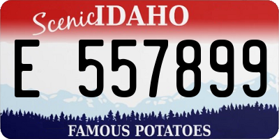 ID license plate E557899