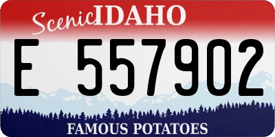 ID license plate E557902