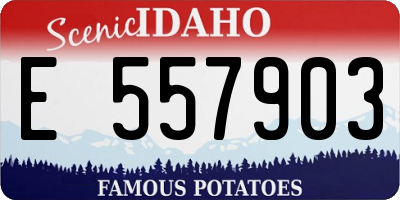 ID license plate E557903