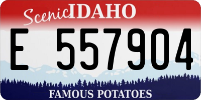 ID license plate E557904