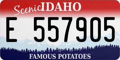 ID license plate E557905