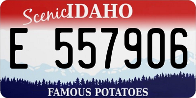 ID license plate E557906