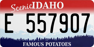 ID license plate E557907