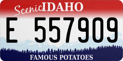 ID license plate E557909
