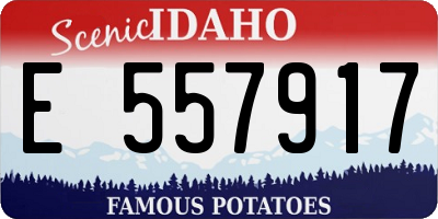 ID license plate E557917