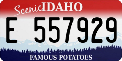 ID license plate E557929