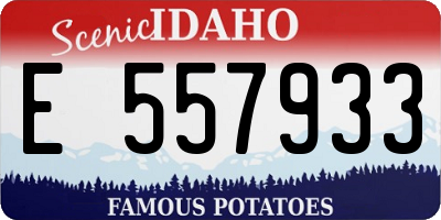 ID license plate E557933