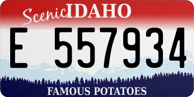 ID license plate E557934