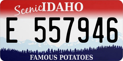 ID license plate E557946