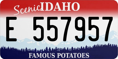 ID license plate E557957