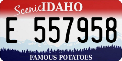 ID license plate E557958