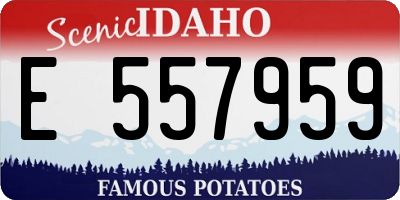 ID license plate E557959