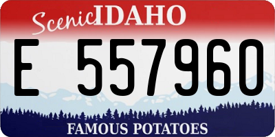 ID license plate E557960