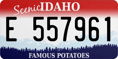 ID license plate E557961