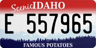 ID license plate E557965
