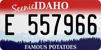 ID license plate E557966