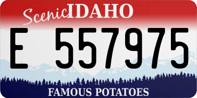 ID license plate E557975