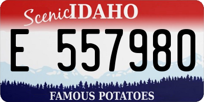 ID license plate E557980