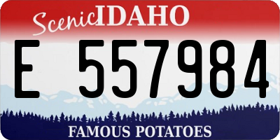 ID license plate E557984