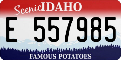 ID license plate E557985