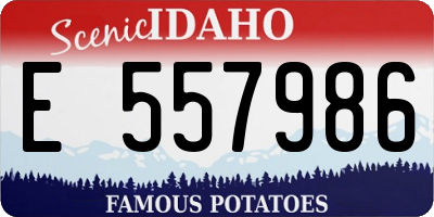 ID license plate E557986