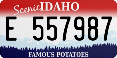 ID license plate E557987