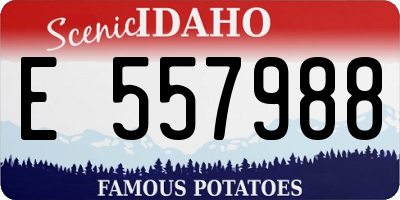 ID license plate E557988