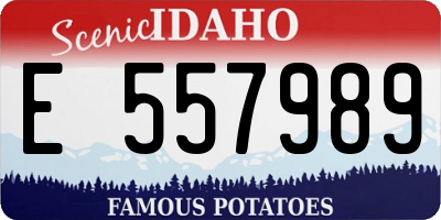 ID license plate E557989